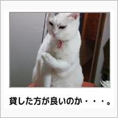 ガレージ改造・・①暑いったら ...