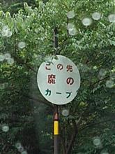 今回も