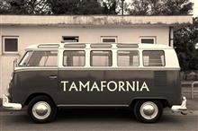 TAMAFORNIA  （タマフォルニア）