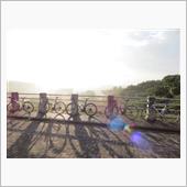 ゆるやか自転車部(仮)in多 ...