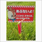 オリジナルRCボディのススメ ...