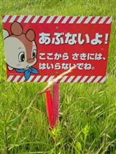 オリジナルRCボディのススメ：量確編。