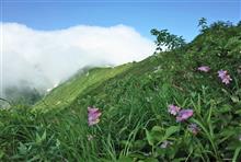 山形まで