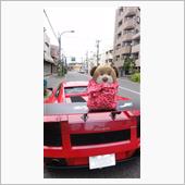 遊ぶ事が消えた････(-( ...
