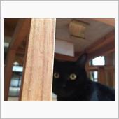 そもそもだけどそもそもそもそも