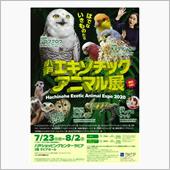 Hachinohe Exot ...