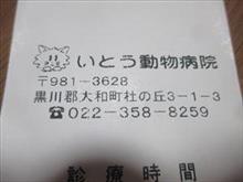 急遽動物病院に行く事に・・・