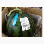 直売所と自家製野菜