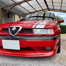 帰って来た155 🐍🍀🇮🇹