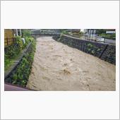 雨、ひどかった