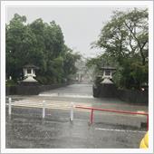 参道⛩も川になるほど 雨がよ ...