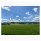 昨年に続き富良野旭川へ