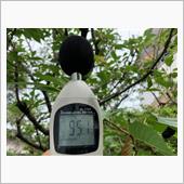 長雨に負けぬ青葉の蝉しぐれ