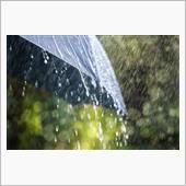 窓の外は雨…(電力休暇と云う ...