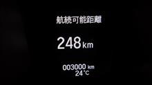 早いもので
