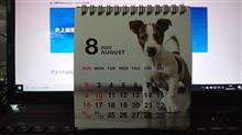 今日から8月♪