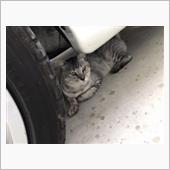 猛暑日❓
