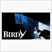 Birdy
