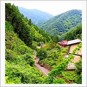 海があれば山もある