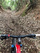 山の上　まで登ってから降りただけ