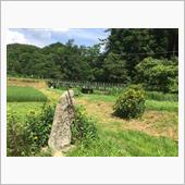 覚書  僅か十年間の中山道宿 ...
