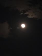 さてどれでしょう