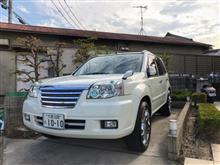 久しぶりに真面目洗車
