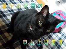 猛暑