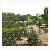 暑い別所沼公園！