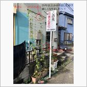 世界に一つだけの花！＆ドラレ ...