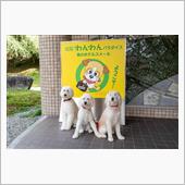 ルキヤと小春＋珠里の夏休み  ...