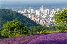ラベンダーのある風景（おまけあり）