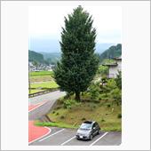 小国から久住をドライブ
