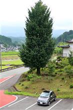 小国から久住をドライブ