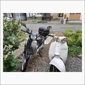 カブ遠方より来る