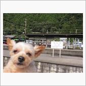 GoTo千頭駅