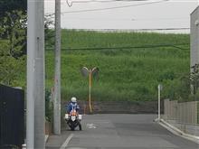 この暑いなか、かくれんぼかよっ。 この暑いなか、かくれんぼかよっ。