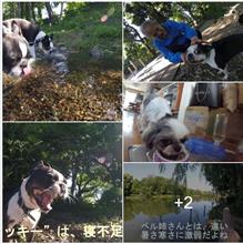 ようやく晴れ間が続くね・・梅雨は明けたようだけど・コロナには、気を抜くなだね　^^!