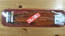 《 九連休 》鰻は食べずに、半額カツ丼・・・《 第五日目 》