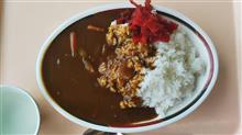 《 九連休 》県庁カレー大盛《 第六日目 》