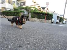 夏休み朝一活動