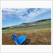 夏休みの思い出　〜痛い