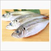 魚の眼