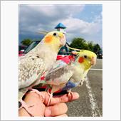 Instagram初！リール ...