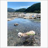 河原遊びに連れてってくれたけ ...