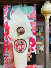 新篠津な午後 新篠津な午後