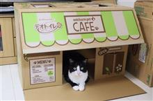 澪くんがいっぱい