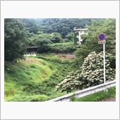 夏休み中盤のドライブ