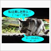 そんな恩返しは要らないって・ ...