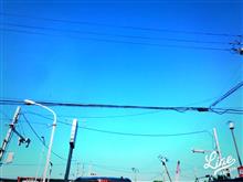 暑さにもなれてきて、